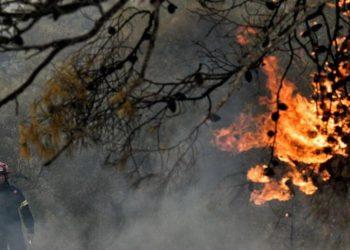 Φωτιά σε Δερβένι Κορινθίας και Μενδενίτσα Φθιώτιδας – Συναγερμός στην πυροσβεστική