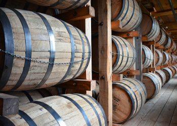 Πώς ένας μύκητας που μπεκροπίνει ουίσκι κατάπιε μια ολόκληρη γειτονιά