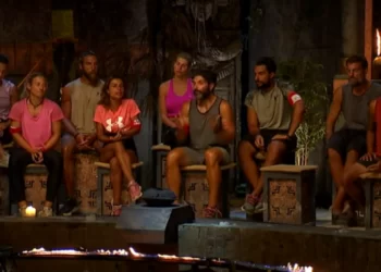 Survivor All Star