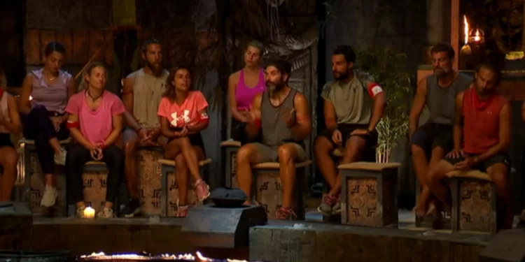 Survivor All Star