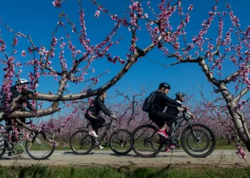 Καιρός: Ανοιξιάτικος σήμερα με 20αρια – Σκαμπανεβάσματα μέσα στην εβδομάδα
