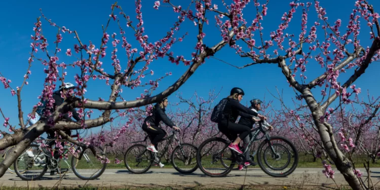 Καιρός: Ανοιξιάτικος σήμερα με 20αρια – Σκαμπανεβάσματα μέσα στην εβδομάδα