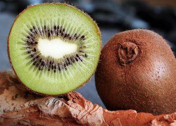 Εξαγωγές: Έφτασαν τα πρώτα φορτία ακτινιδίων στο Ισραήλ