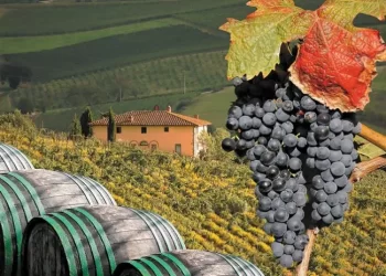 Οι 4 περιοχές της Ελλάδας που ξεχωρίζουν για το κρασί τους