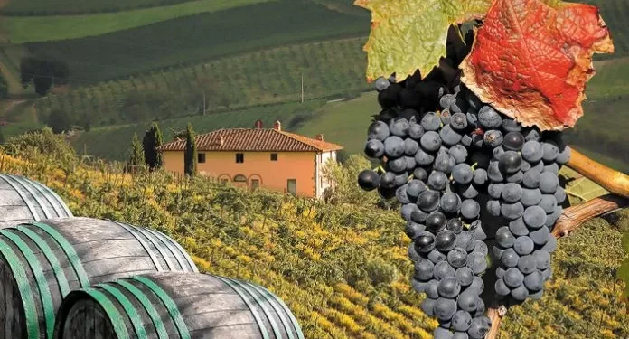 Οι 4 περιοχές της Ελλάδας που ξεχωρίζουν για το κρασί τους