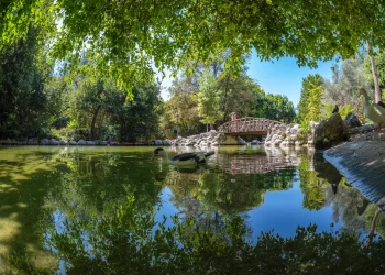 Τα φυτά και τα βότανα του Εθνικού Κήπου της Αθήνας -Μια όαση στο κέντρο της πόλης