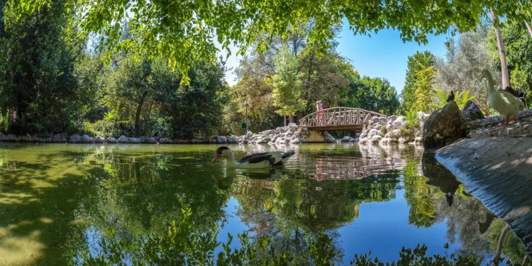 Τα φυτά και τα βότανα του Εθνικού Κήπου της Αθήνας -Μια όαση στο κέντρο της πόλης