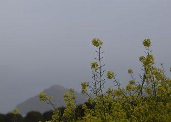 Καιρός: Με λασποβροχές και σκόνη η Πέμπτη – Στους 19 βαθμούς η θερμοκρασία