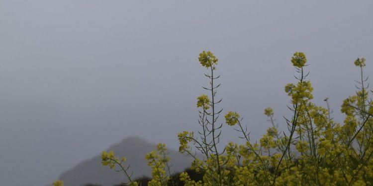 Καιρός: Με λασποβροχές και σκόνη η Πέμπτη – Στους 19 βαθμούς η θερμοκρασία