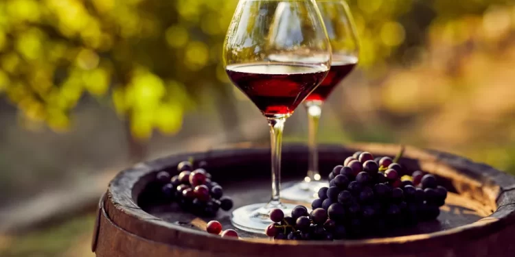 Νεμέα: 10 value for money κρασιά από την Τοσκάνη της Ελλάδας