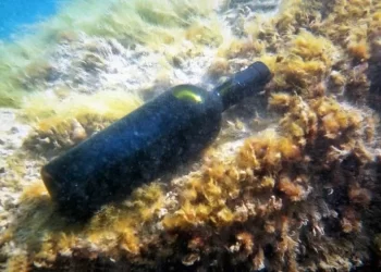 Οινοποιοί: Βυθίζουν τα κρασιά – Απογειώνουν την ποιότητα