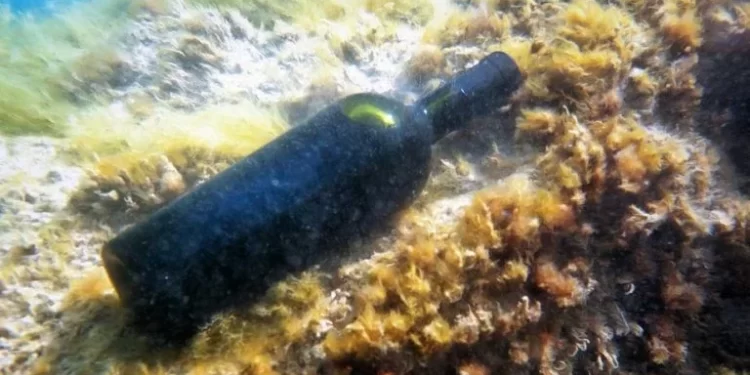 Οινοποιοί: Βυθίζουν τα κρασιά – Απογειώνουν την ποιότητα