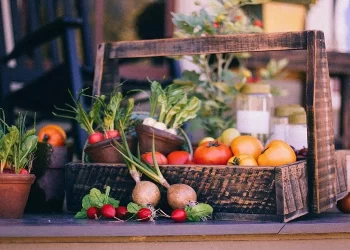 Εξαγωγές: Δυναμική η πορεία των φρούτων και λαχανικών