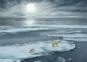 Γυάλινες «φούσκες» θα σώσουν τους πάγους