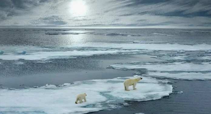 Γυάλινες «φούσκες» θα σώσουν τους πάγους