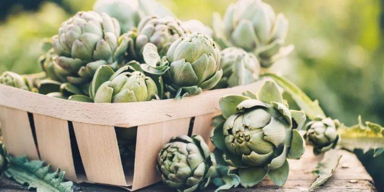 Το λαχανικό – φάρμακο για ήπαρ, χοληστερόλη και πεπτικό