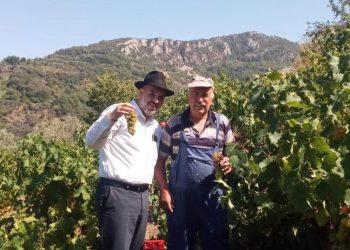 Τα πρώτα κρασιά Kosher Mevushal ελληνικής παραγωγής ταξιδεύουν από τη Σάμο για το εξωτερικό