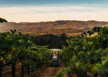 Η Καλιφόρνια θα μπορούσε να έχει μια νέα Αμερικανική Αμπελουργική Περιοχή