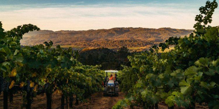 Η Καλιφόρνια θα μπορούσε να έχει μια νέα Αμερικανική Αμπελουργική Περιοχή