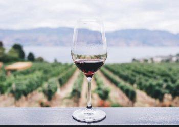 Τα κρασιά της Πάρου