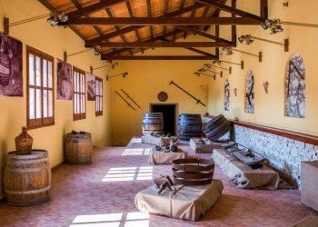 Όλη η διαδρομή της αμπελοκαλλιέργειας σε ένα Μουσείο