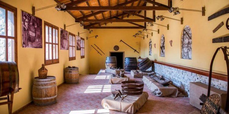 Όλη η διαδρομή της αμπελοκαλλιέργειας σε ένα Μουσείο