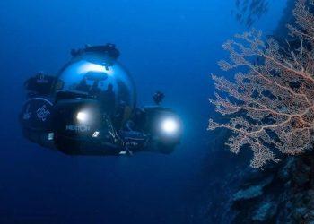 Στα βάθη των ωκεανών κρύβονται εκατοντάδες χιλιάδες άγνωστα είδη