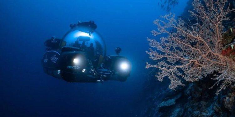 Στα βάθη των ωκεανών κρύβονται εκατοντάδες χιλιάδες άγνωστα είδη