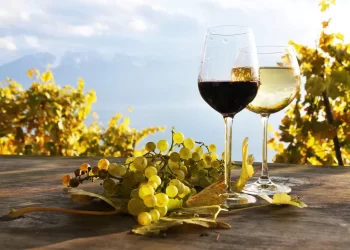 Κρήσσα γη: 10 value for money οινικές επιλογές από τη μεγαλόνησο