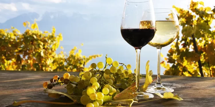 Κρήσσα γη: 10 value for money οινικές επιλογές από τη μεγαλόνησο