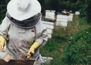 Μελισσοκόμοι: Οικονομική στήριξη της νομαδικής μελισσοκομίας