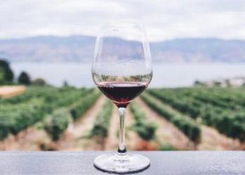 Ακατέργαστο διαμάντι: Κρασί αξίας 2.70 ευρώ κέρδισε το πρώτο βραβείο σε παγκόσμιο διαγωνισμό