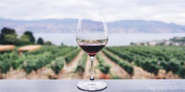 Ακατέργαστο διαμάντι: Κρασί αξίας 2.70 ευρώ κέρδισε το πρώτο βραβείο σε παγκόσμιο διαγωνισμό