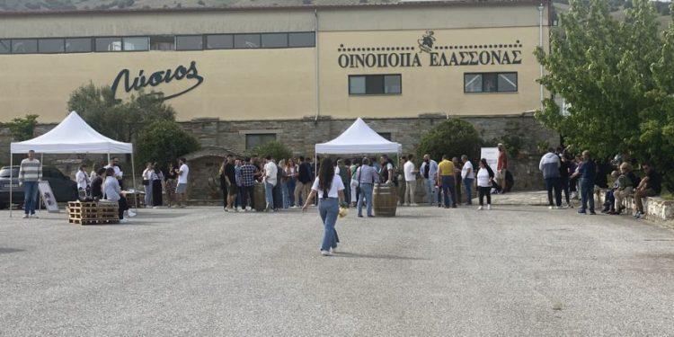 Σε κλίμα… εκλογικό μια γευστική εμπειρία στην Oινοποιία Ελασσόνας