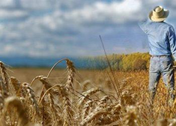 Ταμείο Ανάκαμψης: Νέα πρόσκληση για τον «Εκσυγχρονισμό του πρωτογενούς τομέα»