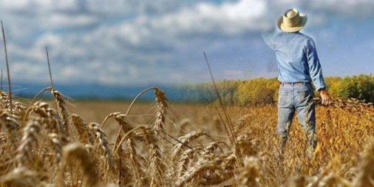 Ταμείο Ανάκαμψης: Νέα πρόσκληση για τον «Εκσυγχρονισμό του πρωτογενούς τομέα»