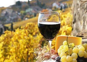 Δράμα: Συναντήθηκε η τέχνη του οίνου και ο πολιτισμός