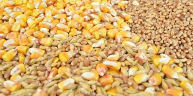 Κίνημα διάσωσης των παραδοσιακών σπόρων