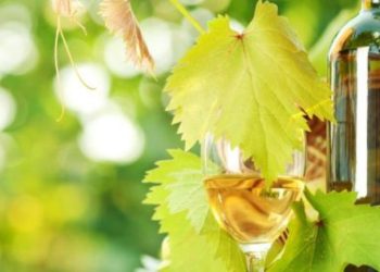 Κρασί: Θεαματική αύξηση των εξαγωγών στον Καναδά