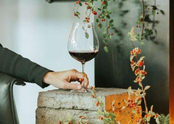 Φυσικά κρασιά: Ορίζοντας την αυθεντικότητα και αγκαλιάζοντας τη διαφορετικότητα