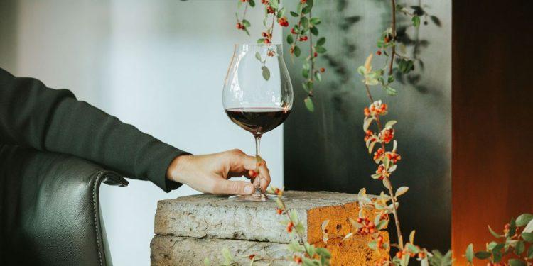 Φυσικά κρασιά: Ορίζοντας την αυθεντικότητα και αγκαλιάζοντας τη διαφορετικότητα