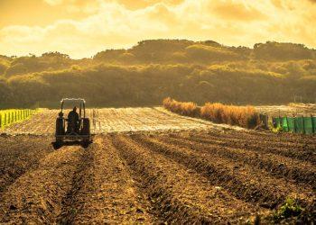 Αειφορία και Περιβαλλοντική Εκπαίδευση – Επανασχεδιάζοντας το μέλλον