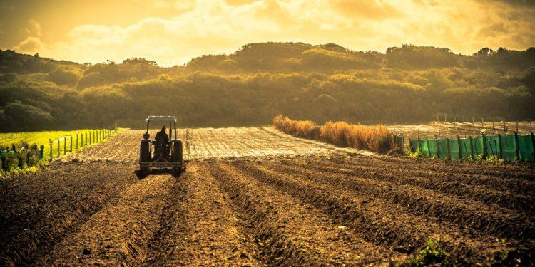 Αειφορία και Περιβαλλοντική Εκπαίδευση – Επανασχεδιάζοντας το μέλλον