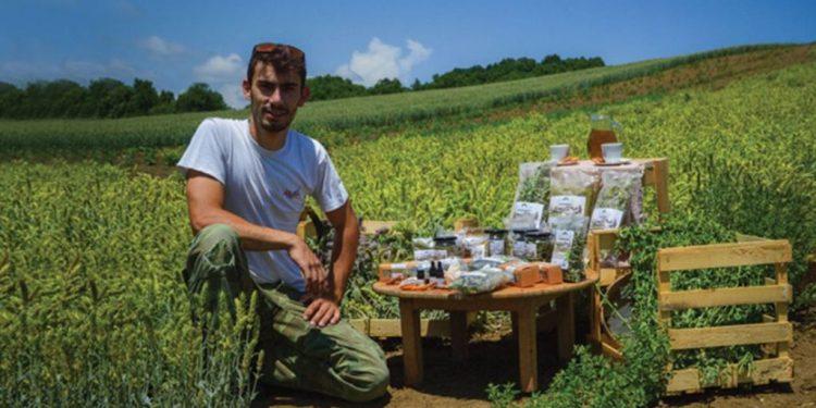 Από τη ρίγανη, έφτασε 500 στρέμματα όσπρια και αρωματικά στα Γρεβενά με «Γεύση Βουνού»