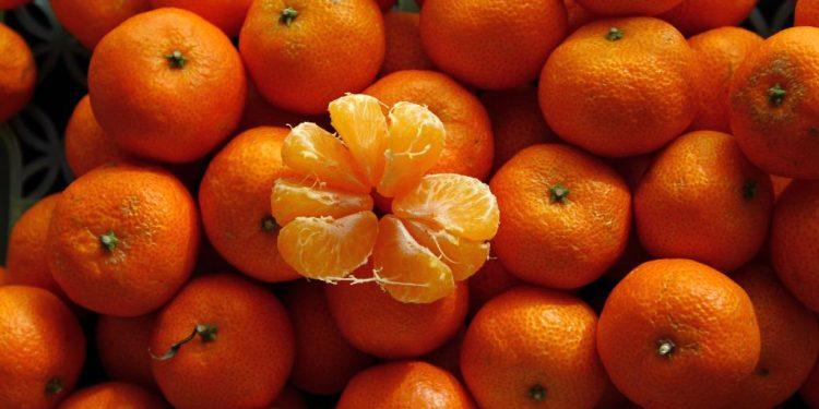Κολλημένη σε ποικιλίες του 1990 η εγχώρια παραγωγή εσπεριδοειδών