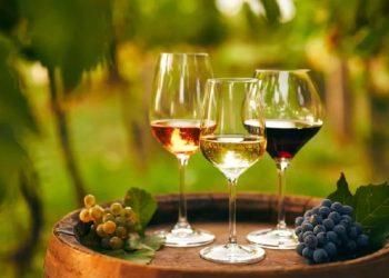 Γευσιγνωσία κρασιού: πώς το κλίμα επιδρά στο κλήμα;