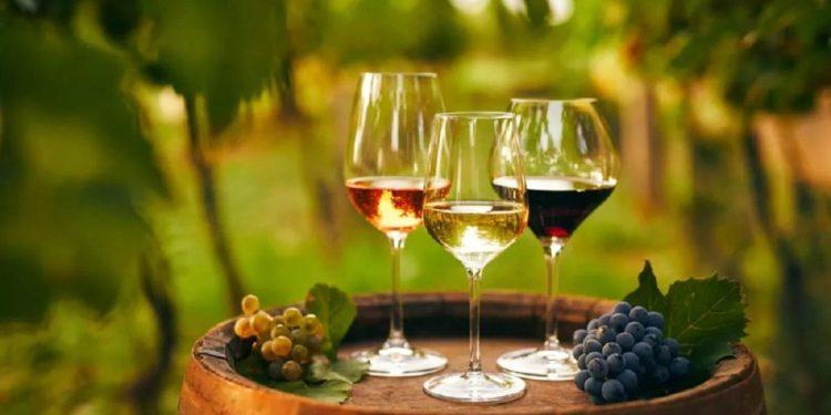 Γευσιγνωσία κρασιού: πώς το κλίμα επιδρά στο κλήμα;