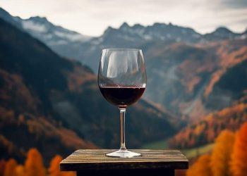 Τα κρασιά της Ηπείρου