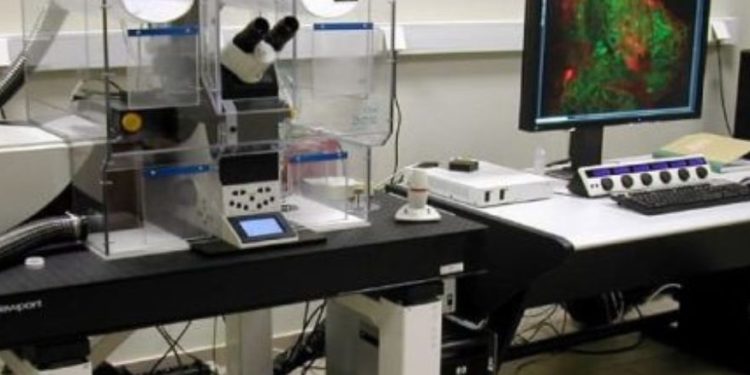 Ιωάννινα: Το ΙΤΕ ετοιμάζει νέα εργαστήρια έρευνας στα Ιωάννινα