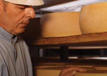 Επιλεγμένα τυριά: Δέκα αιώνων βλάχικη παράδοση και σύγχρονη σκέψη